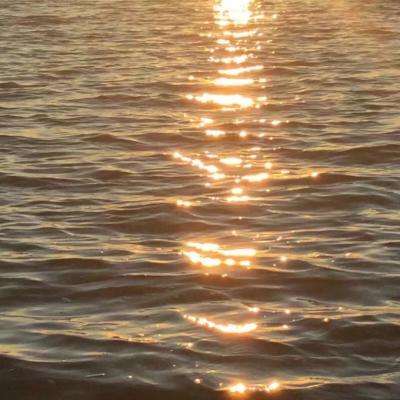 球探下载手机版