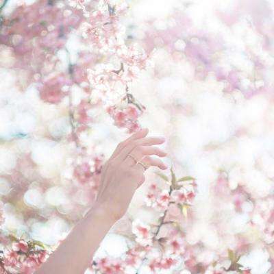 江南app下载手机版